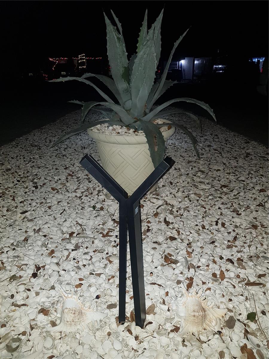 BUCKEYE MANOR - Residential Income