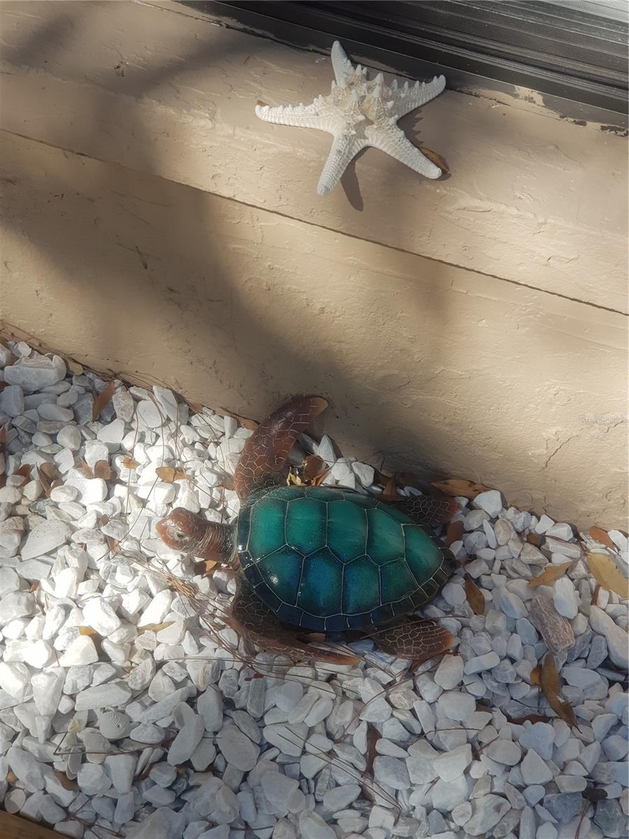 BUCKEYE MANOR - Residential Income