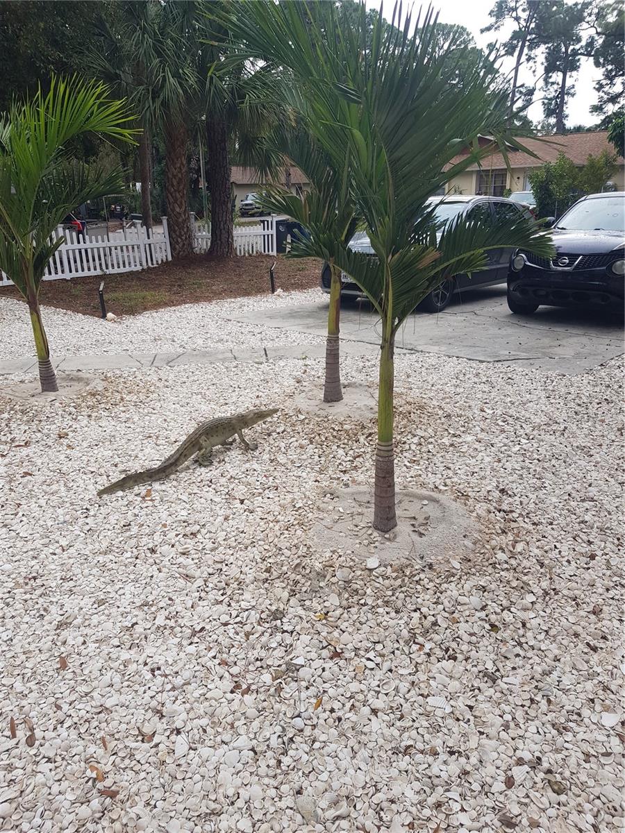 BUCKEYE MANOR - Residential Income