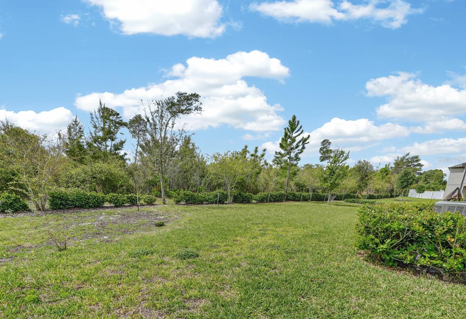 HAMPTON OAKS - Residential