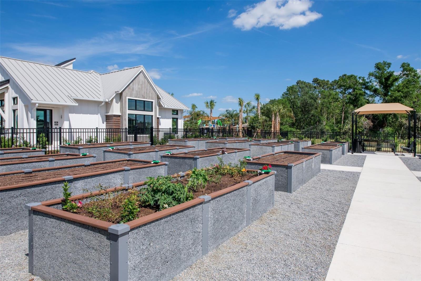 VIDAS WAY LEGACY PHASE 1B - Residential