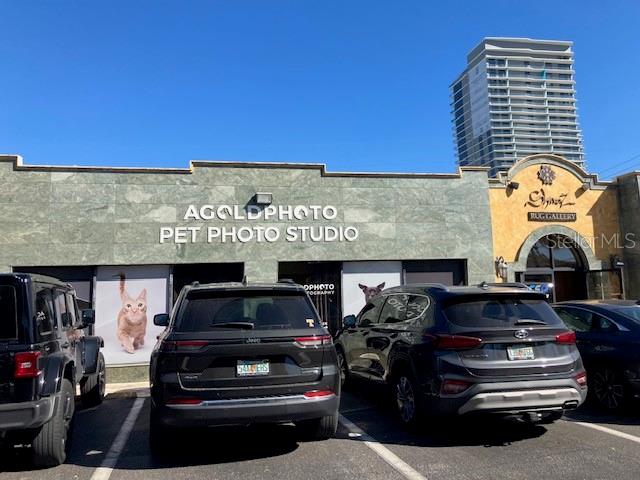 PALMA CEIA PARK - Commercial Lease