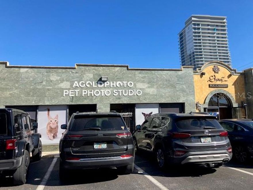 Palma Ceia – Boutique Retail Space – Currently occupied by a photography studio – High ceilings – Large display windows – Available w/ 30 days’ notice – shown by appointment. This is a sublease of a master lease for the property.