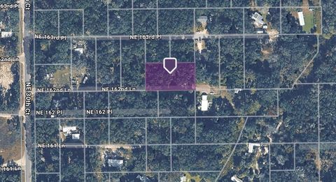 TBD NE 162ND LANE CITRA FL 32113