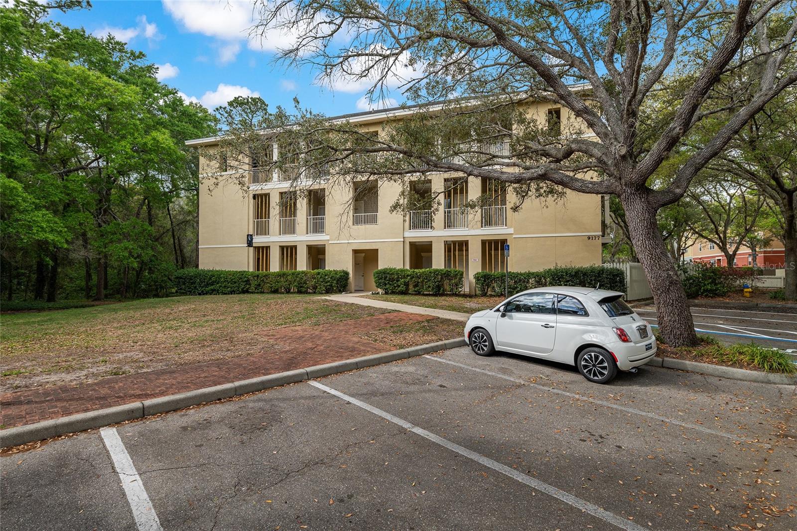 THE VILLAGE AT HAILE - Residential