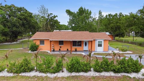 Photo of 1500 SE Tangelo Drive, Arcadia, FL 34266 (MLS # C7524726)
