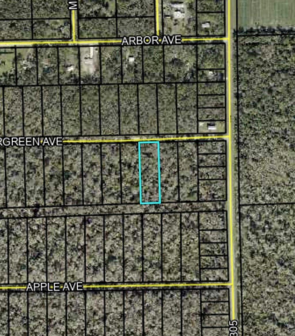 Photo of 3599 Evergreen Avenue, Bunnell, FL 32110 (MLS # FC318641)