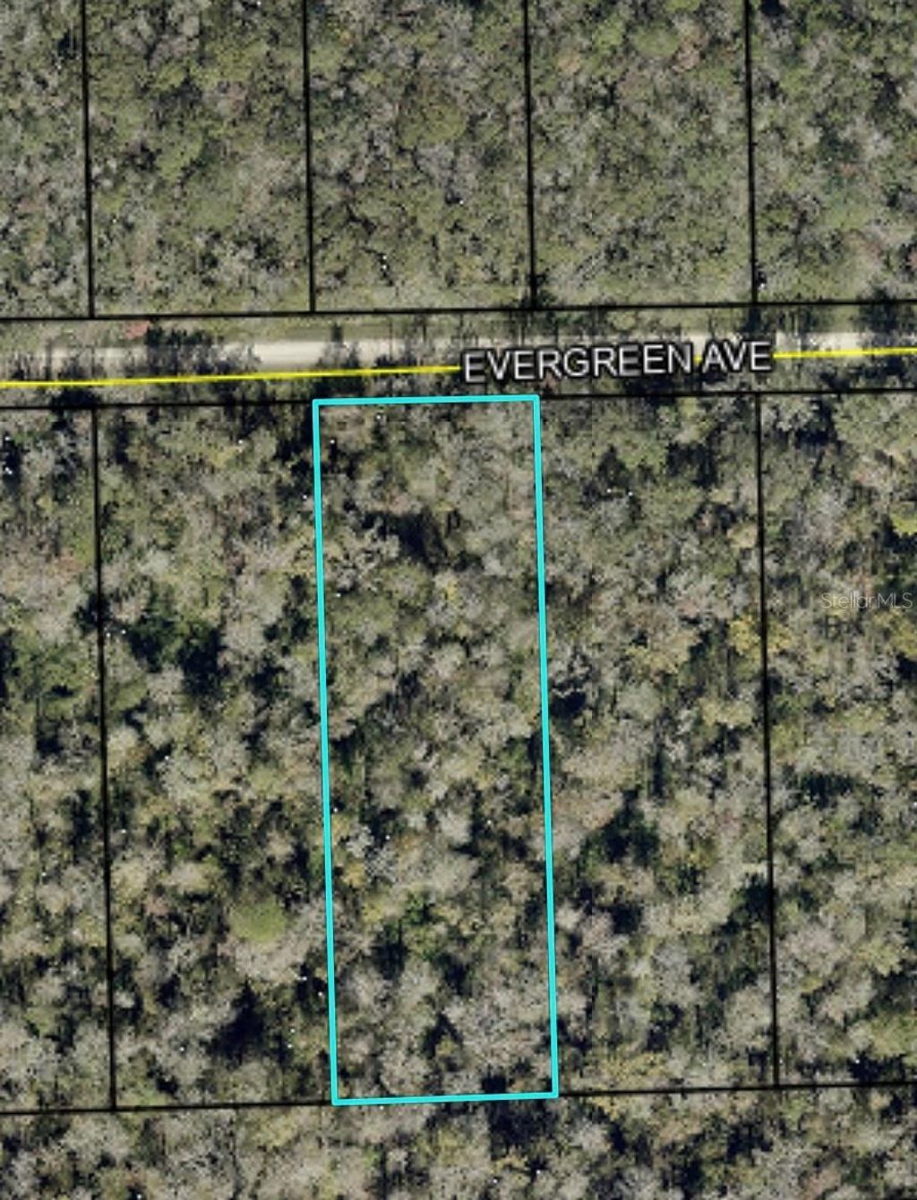 Photo of 3599 Evergreen Avenue, Bunnell, FL 32110 (MLS # FC318641)