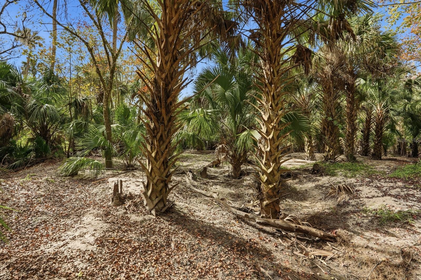 QUIET PLACE IN COUNTRY UNIT 01-04 - Residential