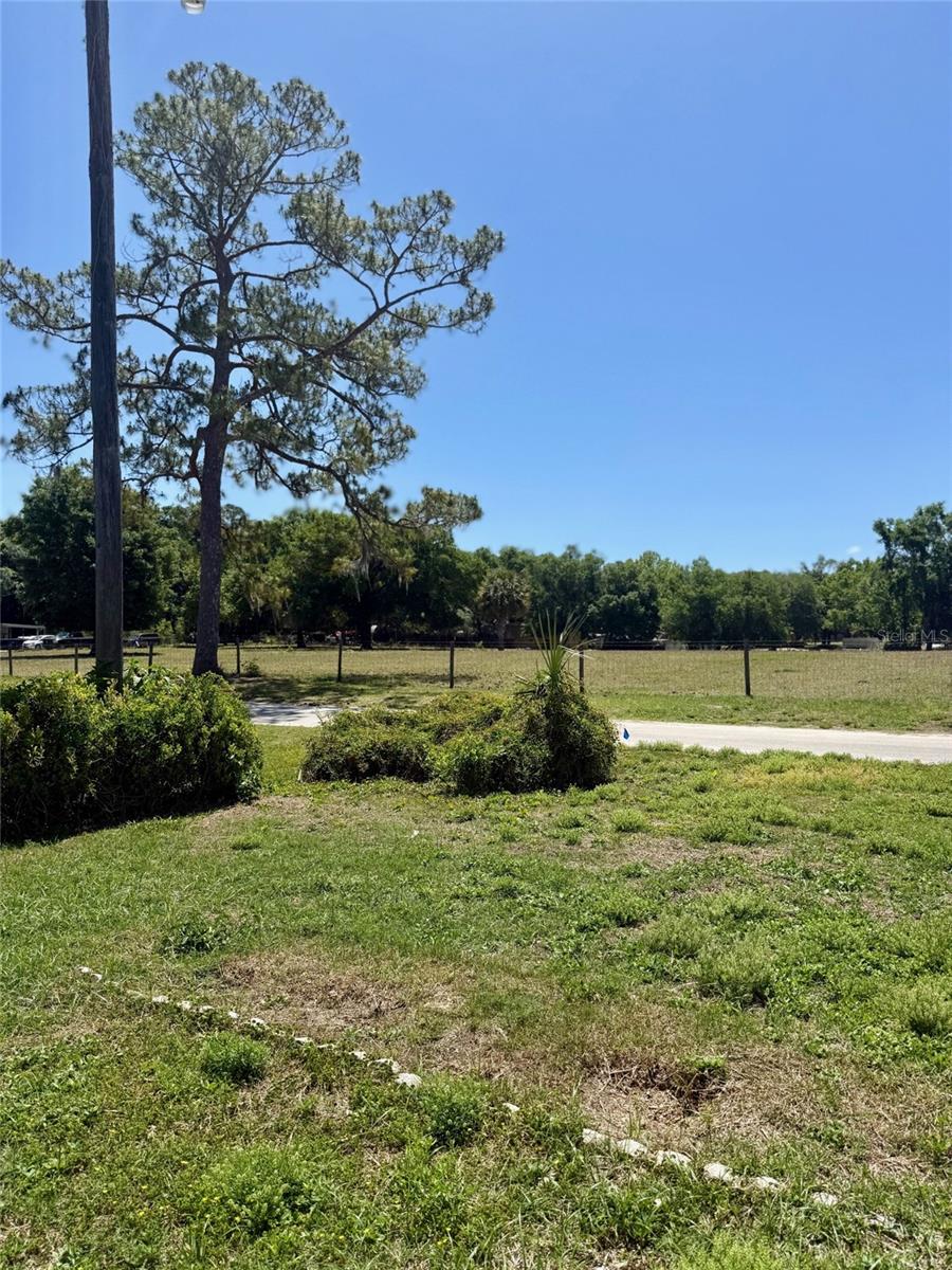 EAST LAKE HARRIS ESTATES - Residential