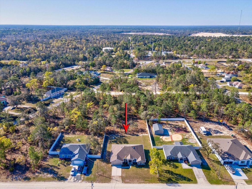 Photo of 12136 Millington Avenue, Weeki Wachee, FL 34614 (MLS # W7884121)
