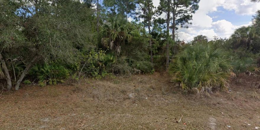 BUILD YOUR FLORIDA DREAM HOME ON A SPACIOUS HALF-ACRE LOT! Welcome to 602 Jackson Ave in Lehigh Acres—an excellent opportunity to own a .50 ACRE RESIDENTIAL LOT in a peaceful, low-traffic neighborhood with plenty of space to create the home and lifestyle you’ve been envisioning.

Located in an X FLOOD ZONE, this property offers added peace of mind and potential insurance advantages for future development. The oversized lot provides endless possibilities for designing your ideal home with room for a pool, detached garage, workshop, RV parking, or expansive outdoor living areas.

Surrounded by the quiet atmosphere Lehigh Acres is known for, this property offers the perfect balance of privacy and convenience while still being within reach of shopping, dining, schools, parks, and major roadways.

Whether you're looking to BUILD NOW, INVEST FOR THE FUTURE, or secure extra space in a growing Southwest Florida community, this lot offers VALUE, FLEXIBILITY, and POTENTIAL.

Drive by today and start planning your future in sunny Southwest Florida!