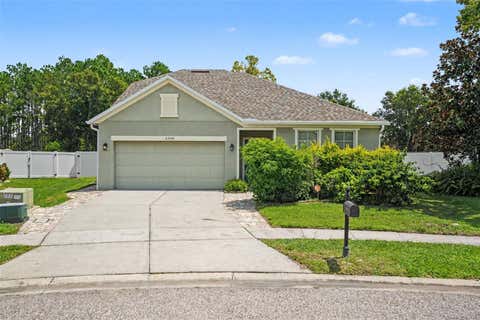 Photo of 23046 Wood Violet Court, Land O Lakes, FL 34639 (MLS # O6433545)