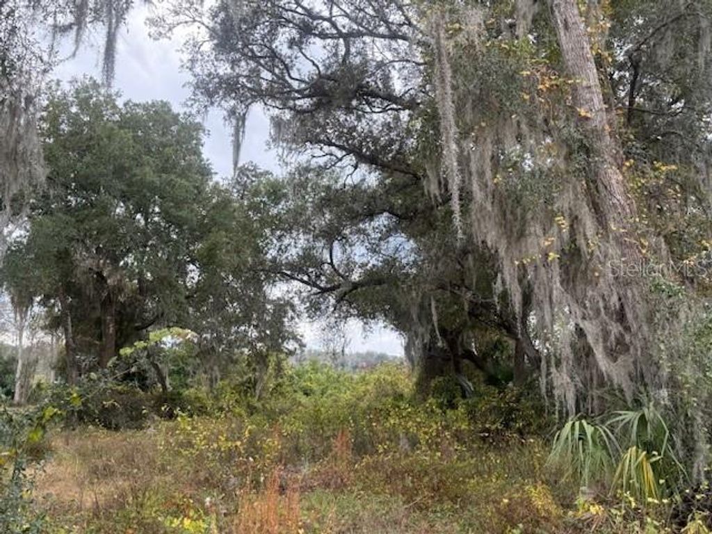 Photo of SE 175th Terrace, Silver Springs, FL 34488 (MLS # OM716227)