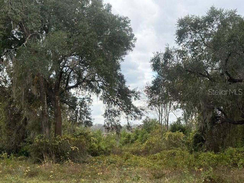 Photo of SE 175th Terrace, Silver Springs, FL 34488 (MLS # OM716227)