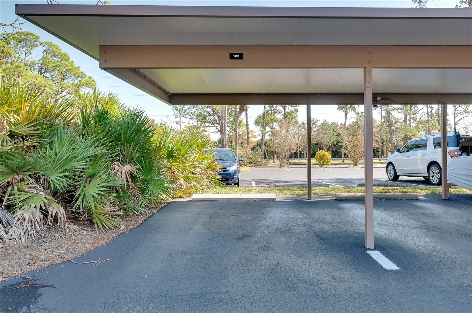 BIRD BAY V - Residential