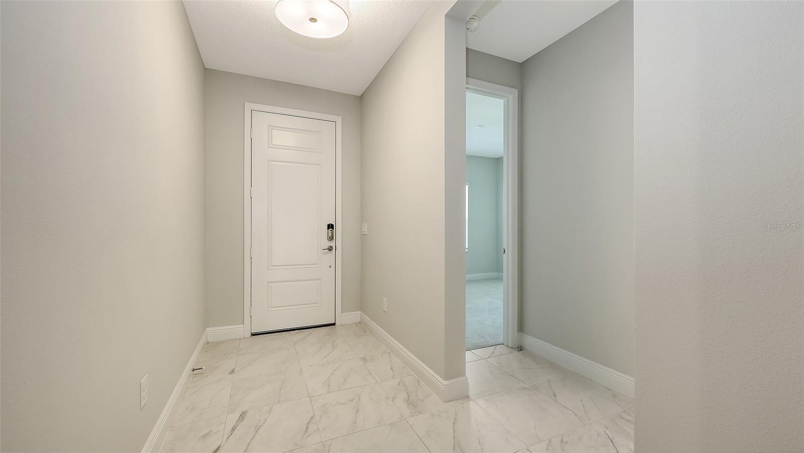 2250 LADY PALM LOOP