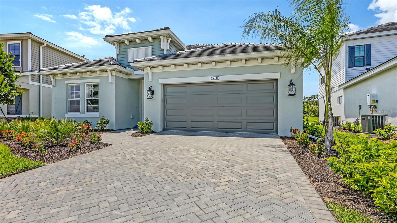 2250 LADY PALM LOOP