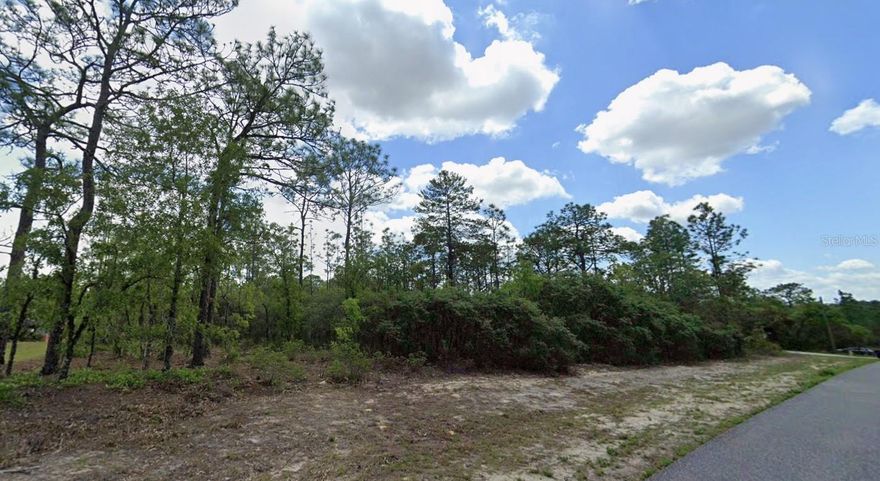 Build your dream home on this residential lot in Citrus Springs, located on a quiet, well-kept street surrounded by established homes and new construction. Enjoy nearby Withlacoochee State Trail for biking, walking, and hiking, as well as freshwater springs, rivers, and lakes for boating, fishing, and outdoor recreation. The community offers easy access to shopping, dining, schools, and parks, making it an ideal location for comfortable country-style living with modern conveniences.