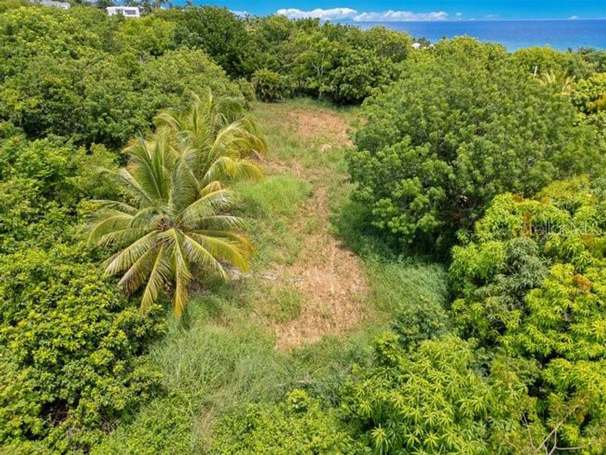Primo Puntas location! Build your dream house on this large, luscious 1,649 sm lot (between 1/3 and 1/2 acre). Located within easy walking distance of the popular Sandy Beach and world class surfing at Parking Lots. Closeby to many local beachside restaurants & bars. Utilities close by. Lot runs approximately 82ft of road frontage and 246 ft deep. Low taxes. Check it out today! Coordinates: 18.36914800, -67.2540160