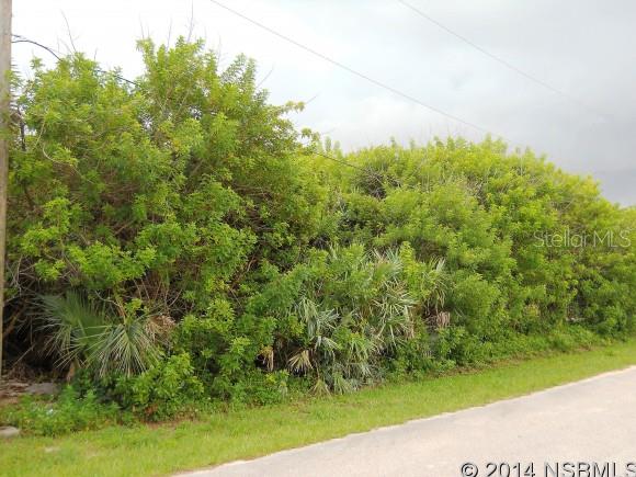 Bethune Volusia Beach - Land