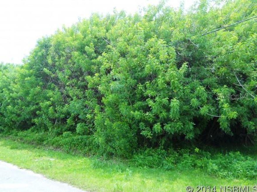 Ocean and Riverviews from a 2 Story Home Built on these 3 Bethune Lots, Culd-a-sac, Less than a block to the Non Driving Beach, & Value Pricing as these lots are now listed for less than half of the current owners investment. Very  Motivated!; Cleared: No ;Water: Available at Site