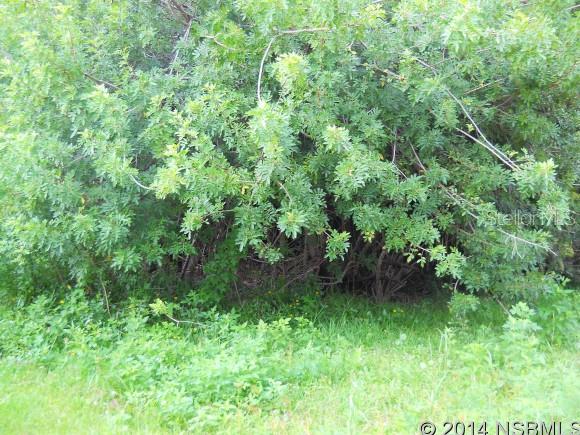 Bethune Volusia Beach - Land