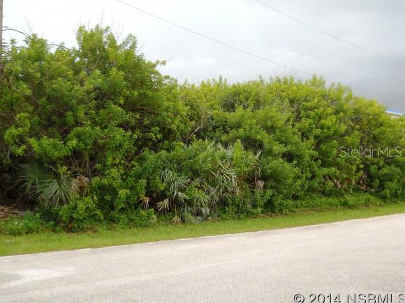 Bethune Volusia Beach - Land