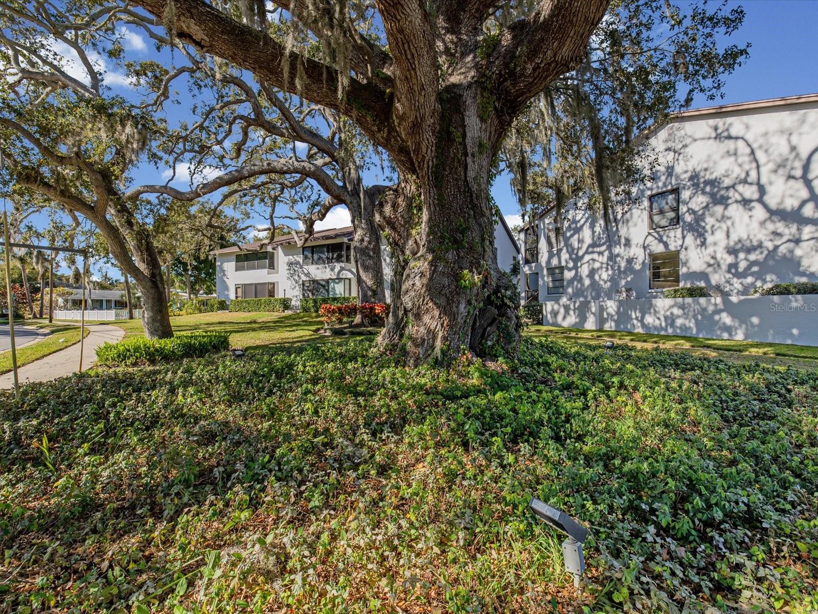 LOVERS OAK CONDO - Residential