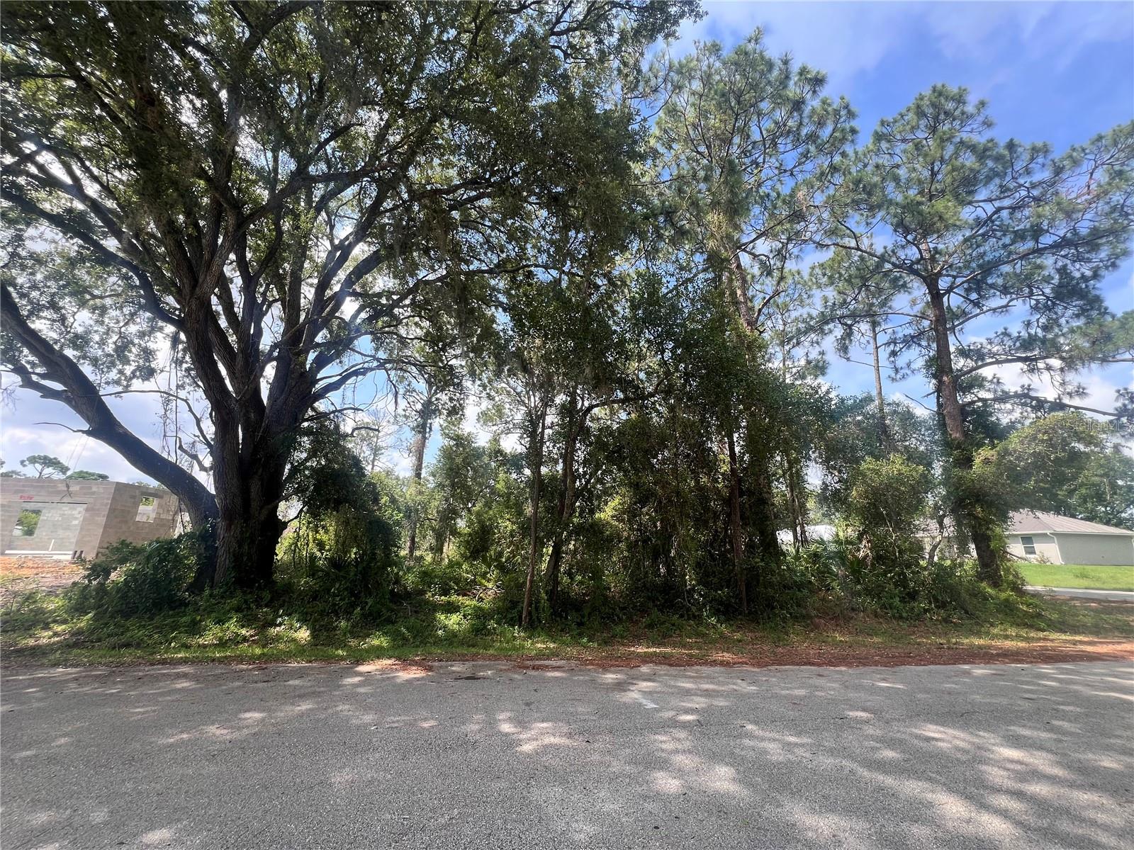 LOCATION, LOCATION! Check out this Vacant buildable lot. This corner lot offers a great opportunity to own a piece of land in the growing area of Sebring. Just minutes of US 27. Located in a peaceful neighborhood with convenient access to shopping, schools, and recreational areas. This lot is an excellent investment opportunity.