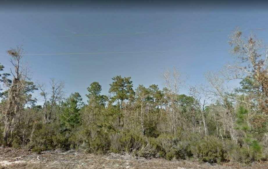 TROUT LAKE SHORES - Land