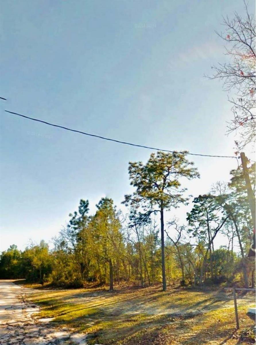 TROUT LAKE SHORES - Land