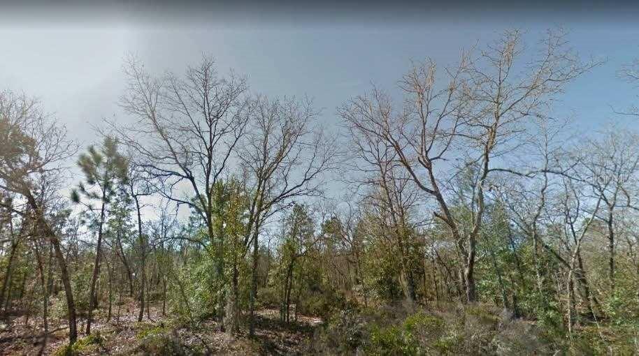 TROUT LAKE SHORES - Land