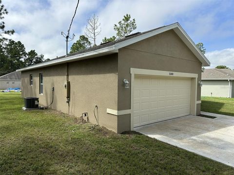 A home in CITRUS SPRINGS