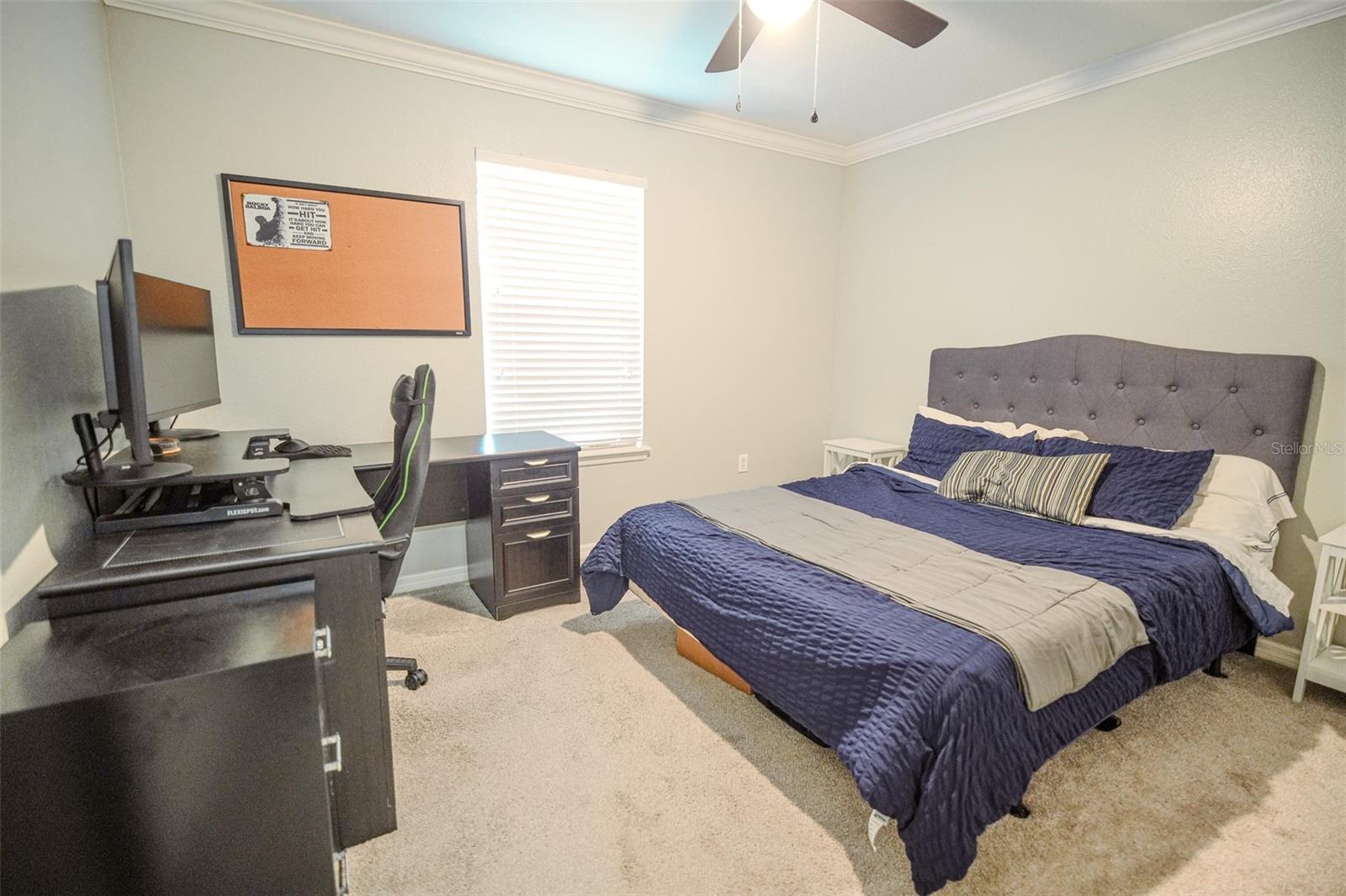 WALDEN WOODS REP - Residential