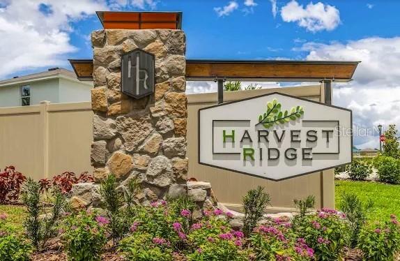 37445 SHARKS EYE LANE