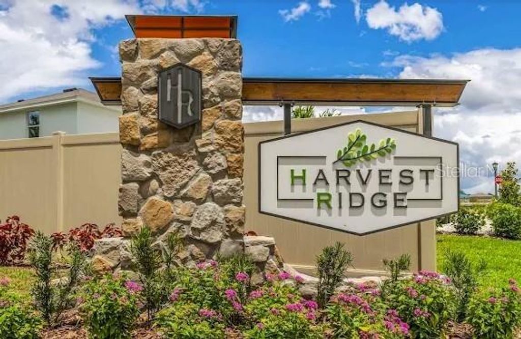 Photo of 37445 Sharks Eye Lane, Zephyrhills, FL 33541 (MLS # W7882320)