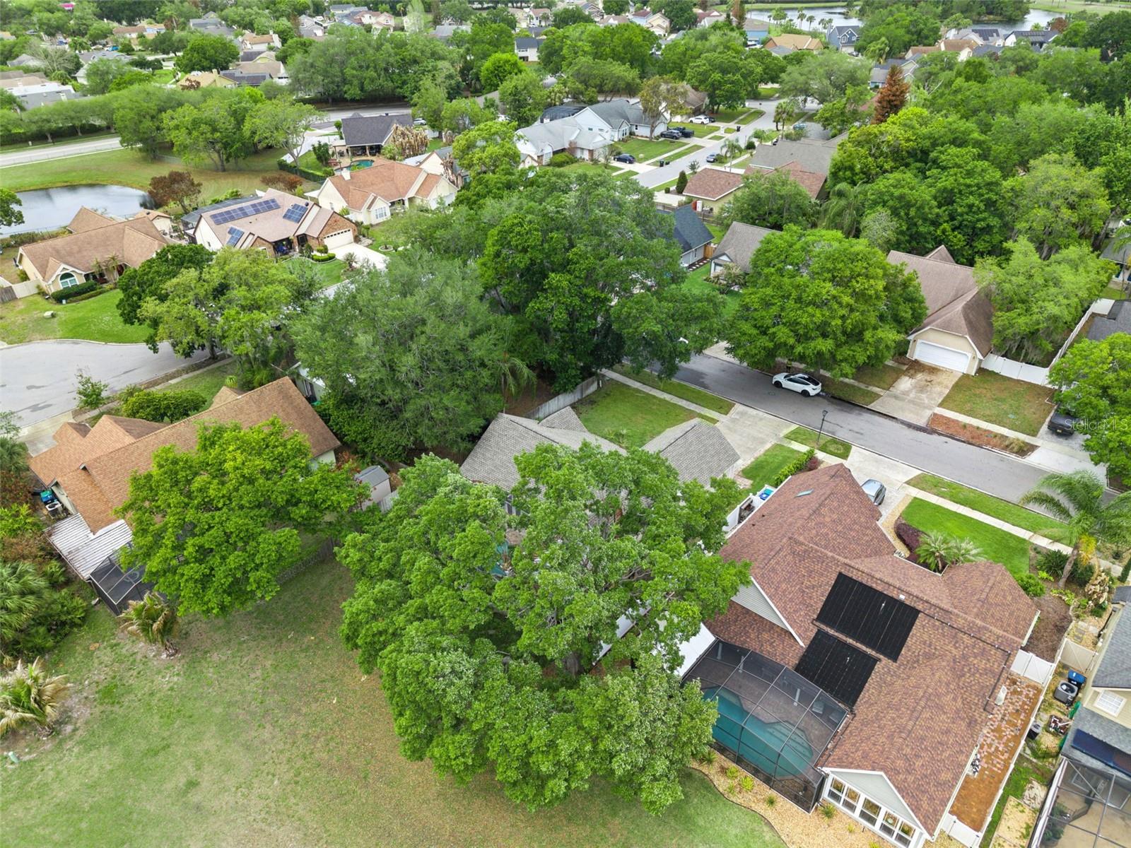 HUCKLEBERRY FIELDS TR N2A - Residential