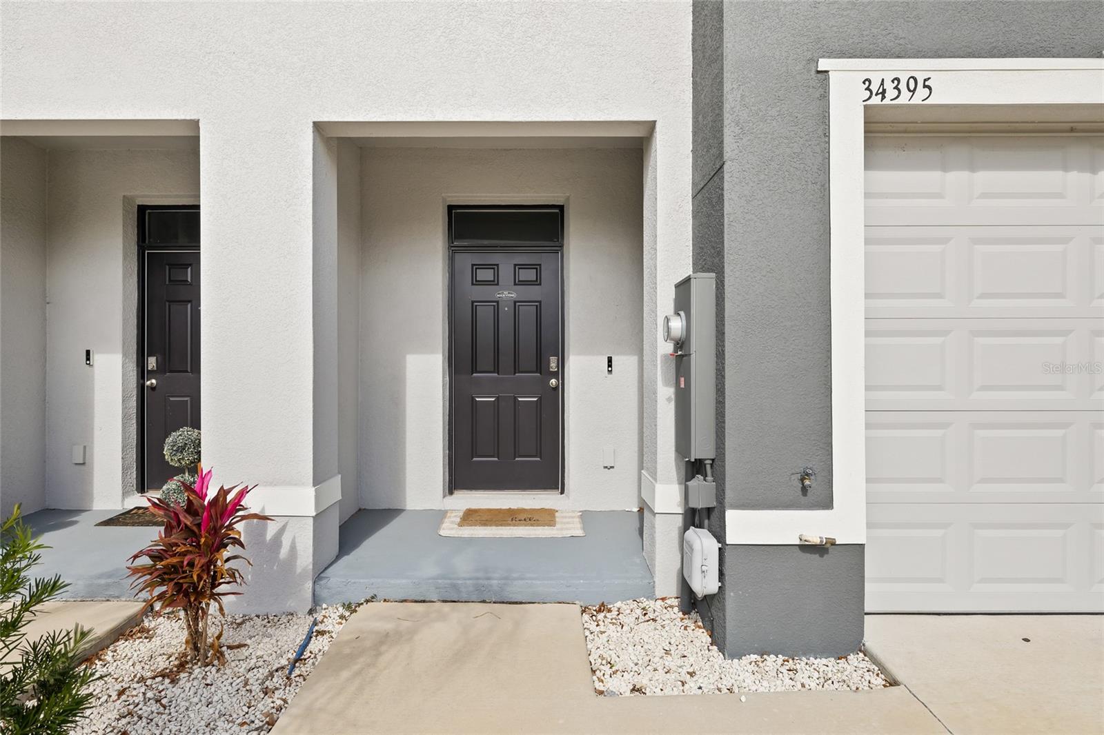 34395 SORREL MINT DRIVE