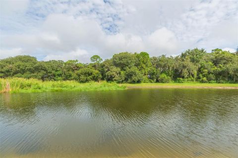 A home in ZEPHYRHILLS