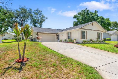 Photo of 10520 Springwood Drive, Port Richey, FL 34668 (MLS # W7885619)