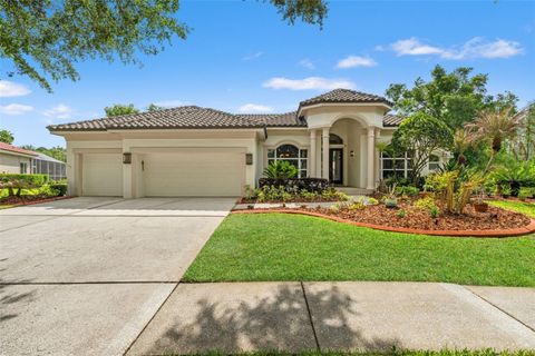 Photo of 17905 Arbor Greene Drive, Tampa, FL 33647 (MLS # TB8490112)
