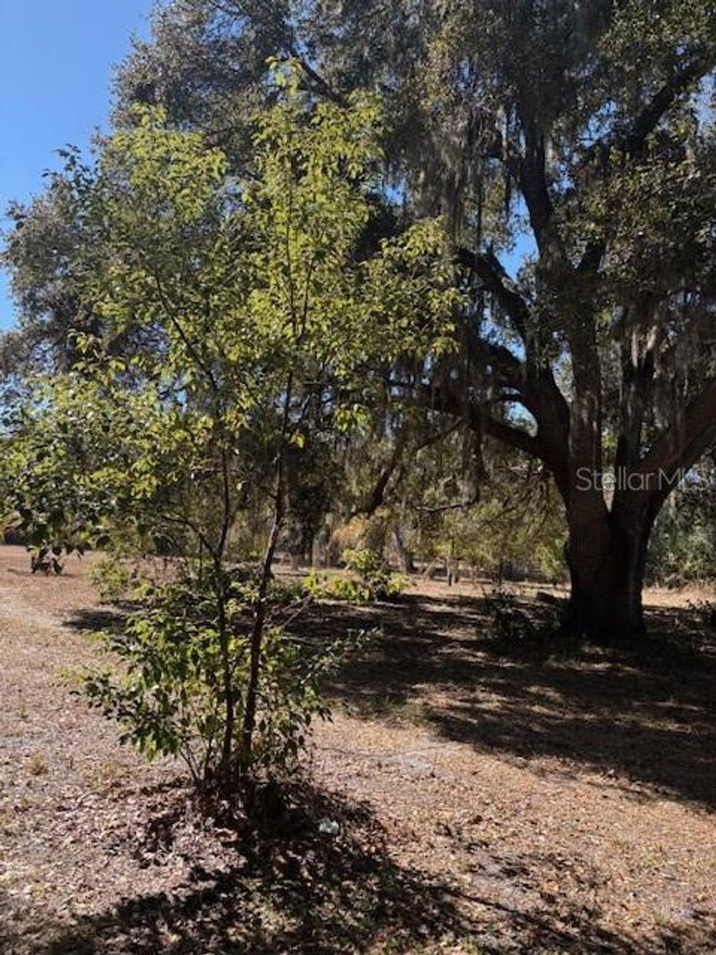 Photo of 19128 Dorman Road, Lithia, FL 33547 (MLS # TB8474099)