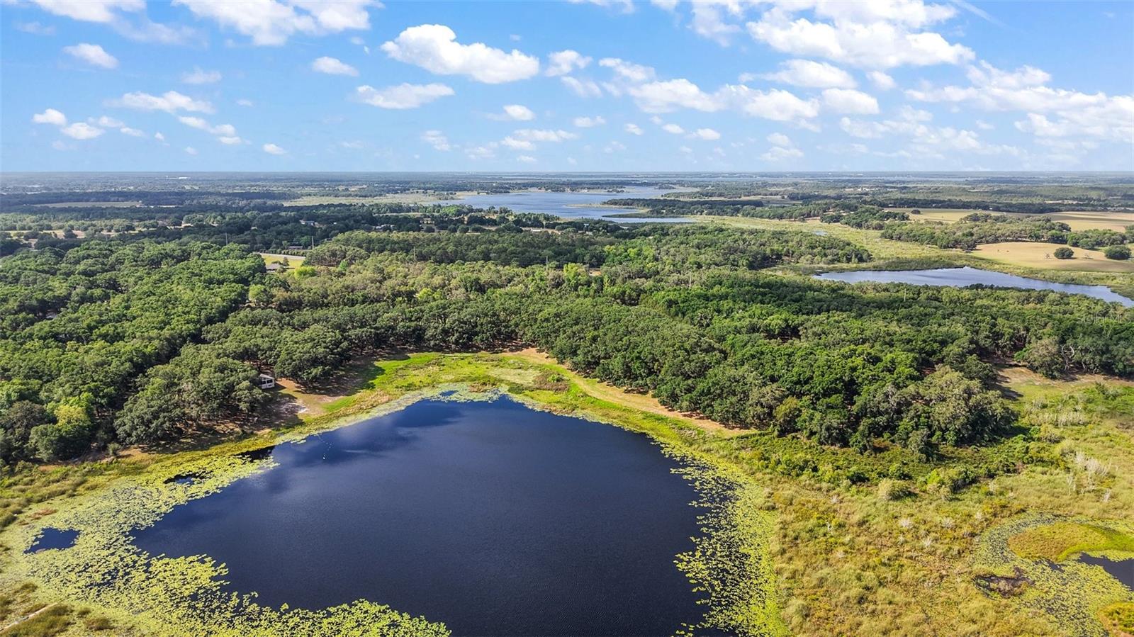 NICOTOON LAKE - Residential