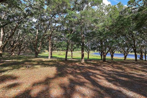 Tiny photo for 27011 SE Highway 42, Umatilla, FL 32784 (MLS # G5096544)