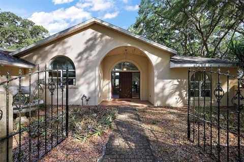 Tiny photo for 27011 SE Highway 42, Umatilla, FL 32784 (MLS # G5096544)