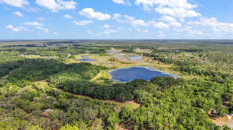 Tiny photo for 27011 SE Highway 42, Umatilla, FL 32784 (MLS # G5096544)
