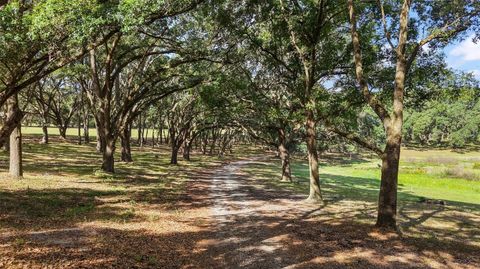Tiny photo for 27011 SE Highway 42, Umatilla, FL 32784 (MLS # G5096544)