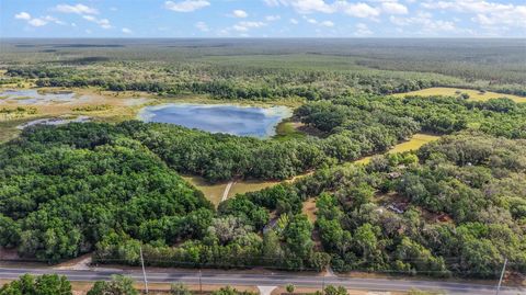 Tiny photo for 27011 SE Highway 42, Umatilla, FL 32784 (MLS # G5096544)