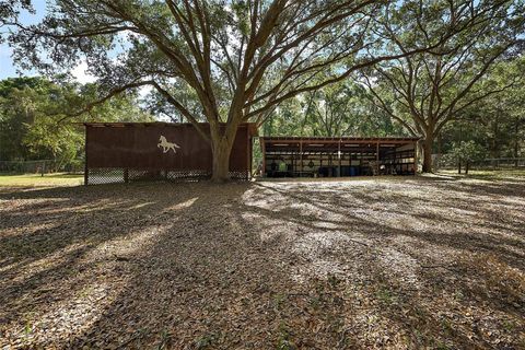 Tiny photo for 27011 SE Highway 42, Umatilla, FL 32784 (MLS # G5096544)